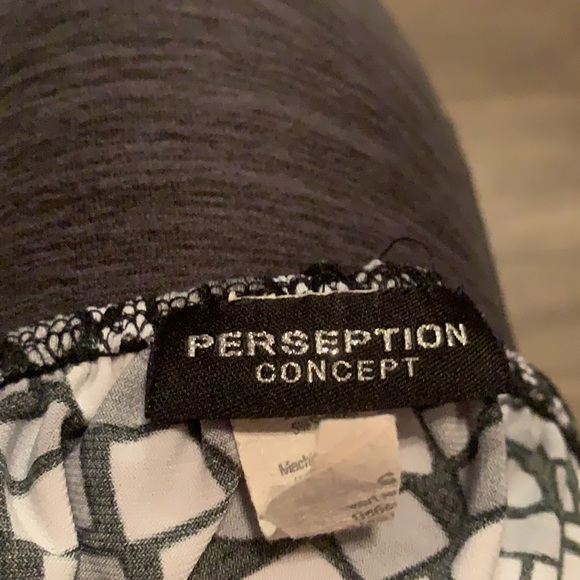 PerSeption Concept - Picture 5 of 6